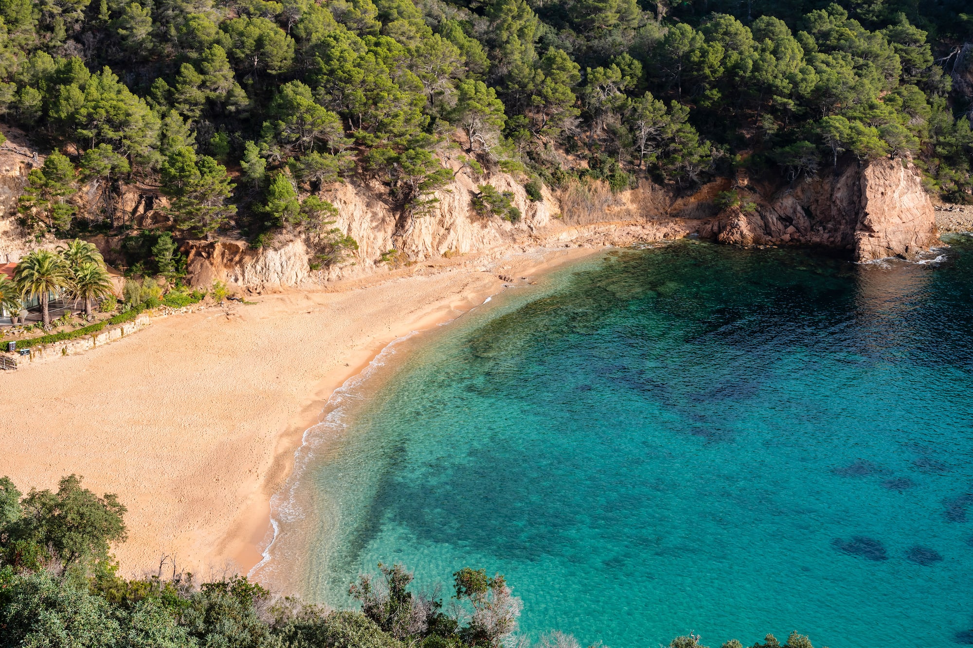 a beach with blue water and trees