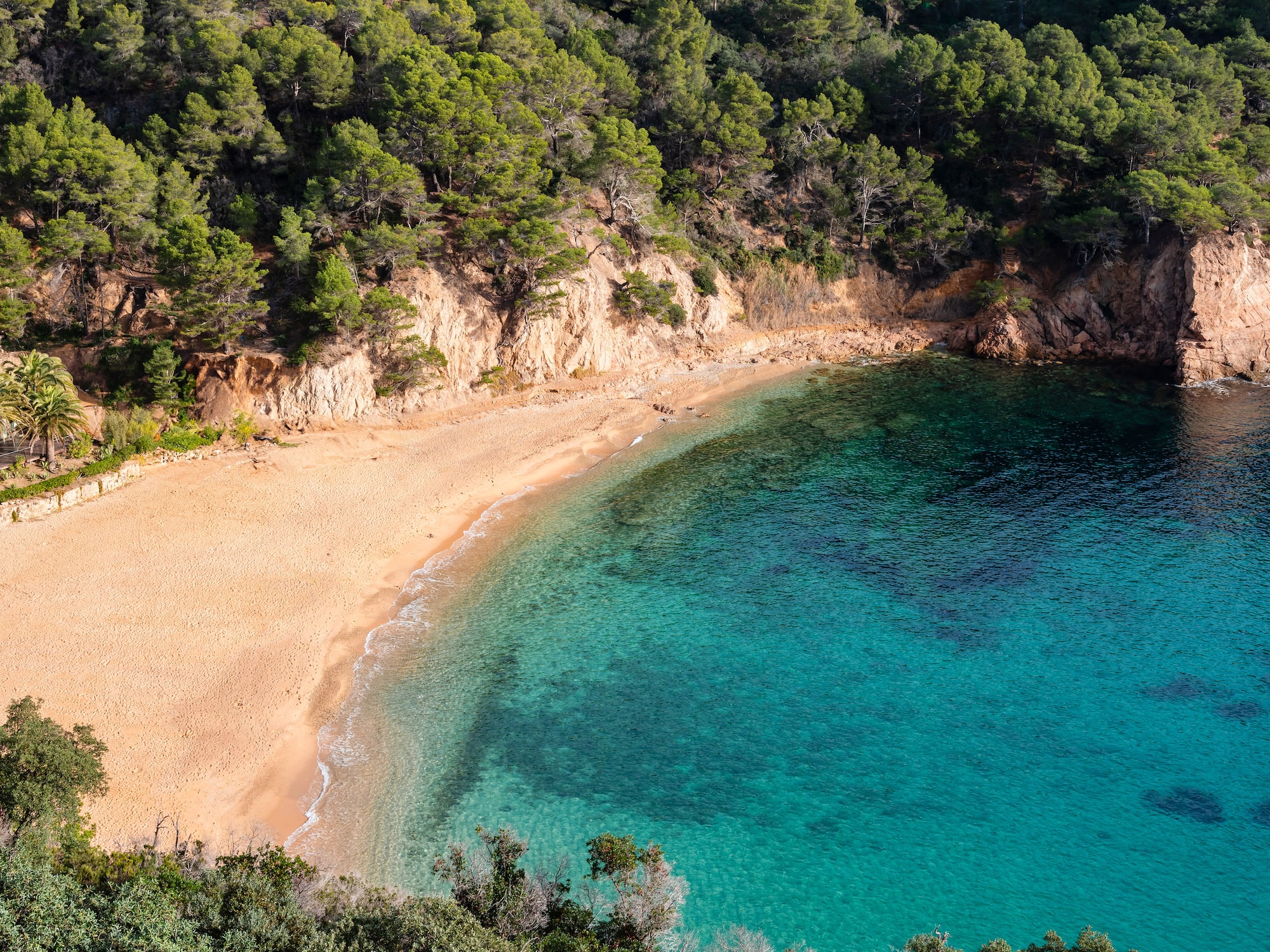 a beach with blue water and trees