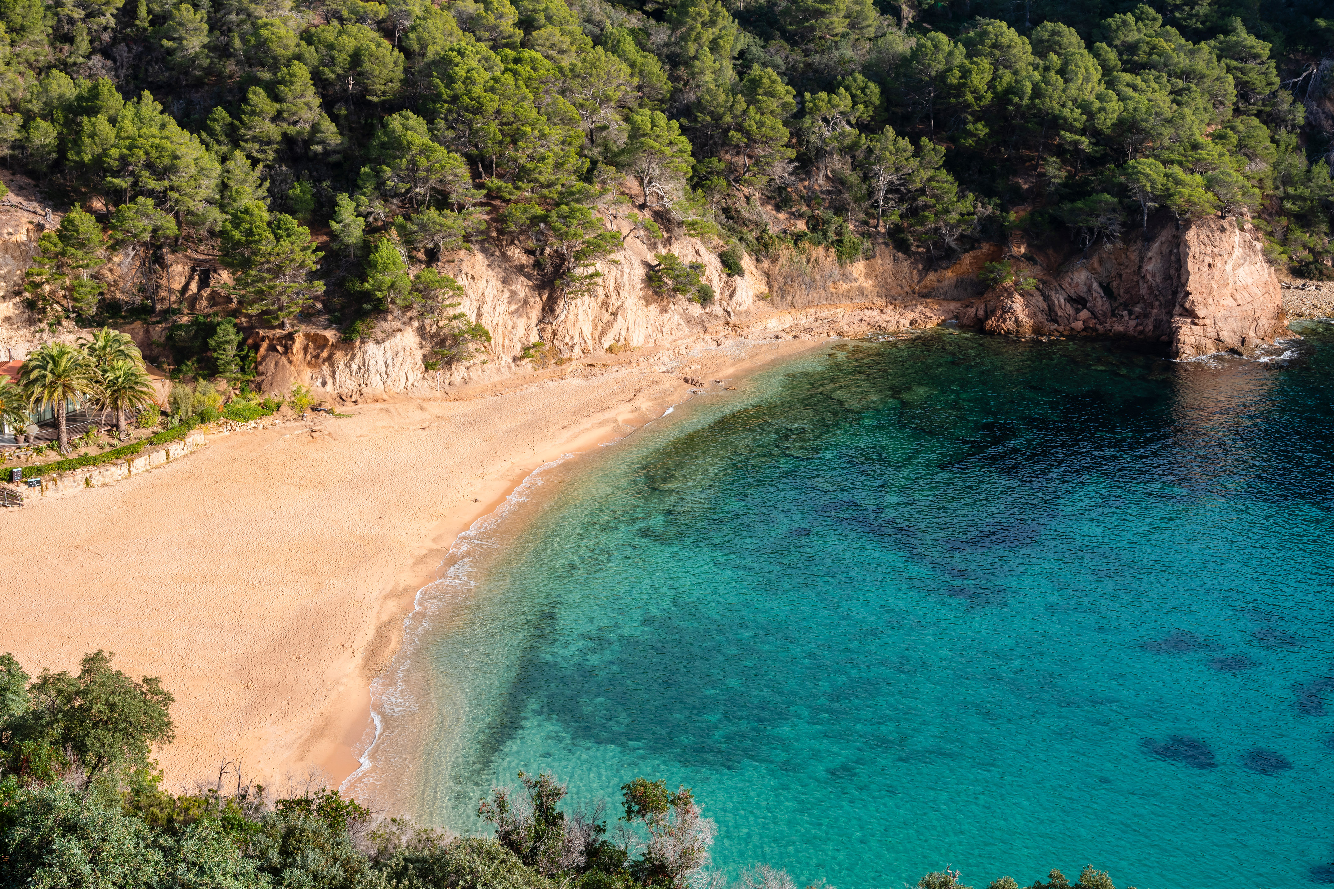 Golden sandy beach with clear turquoise water and pine-covered cliffs.