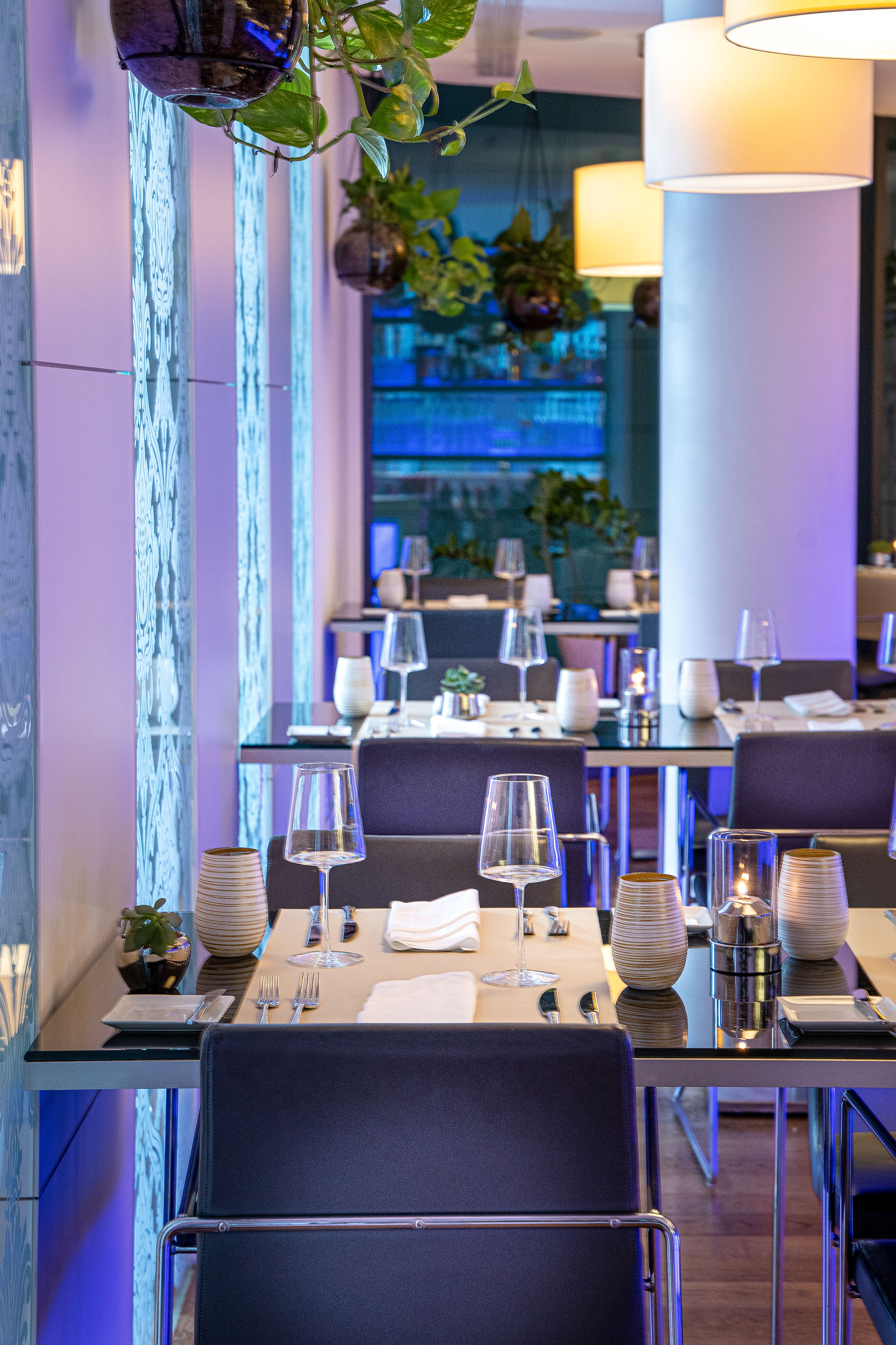 Modern restaurant interior with set dining tables, blue lighting, and hanging plants. - VEN, Διεθνής κουζίνα - INNSiDE Dresden, Δρέσδη