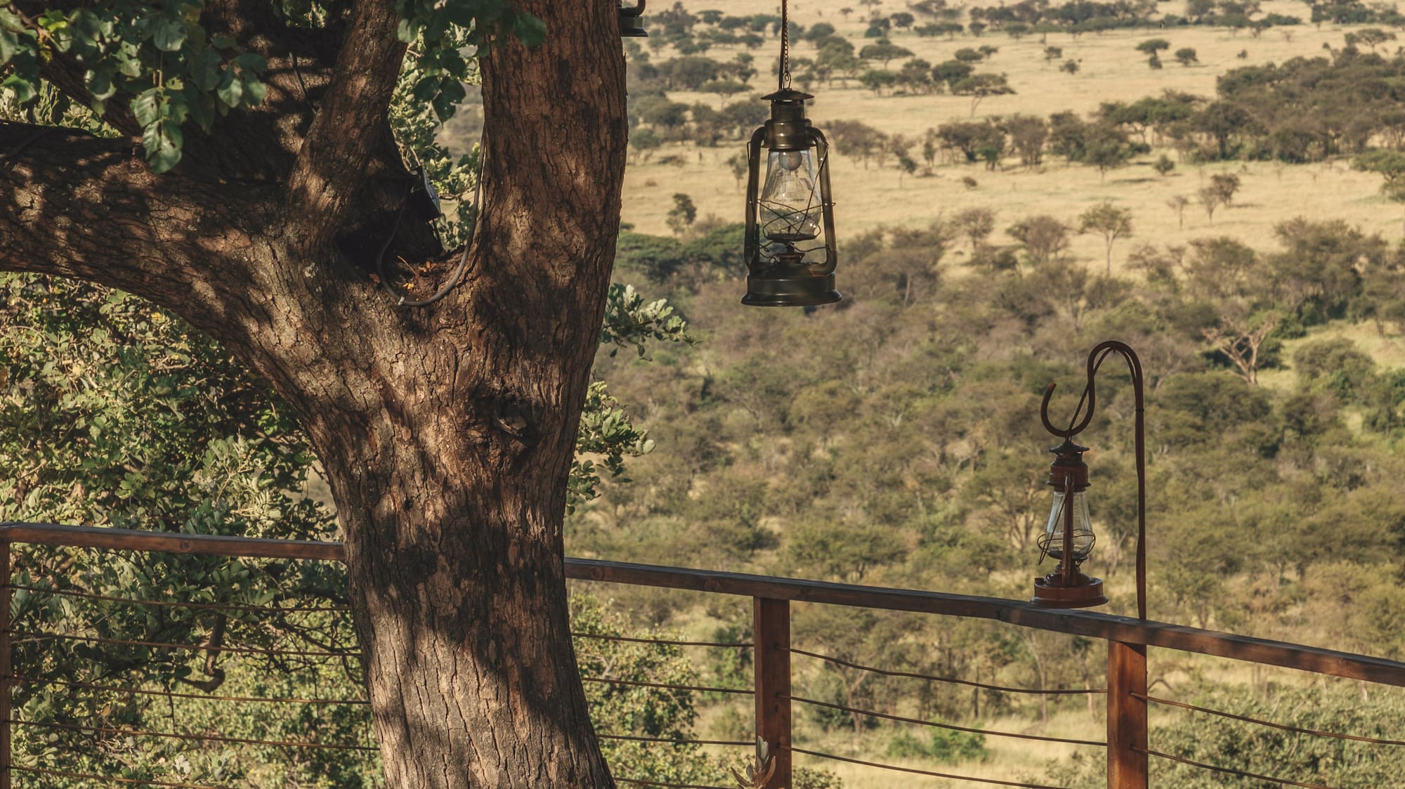 a table and chairs under a tree