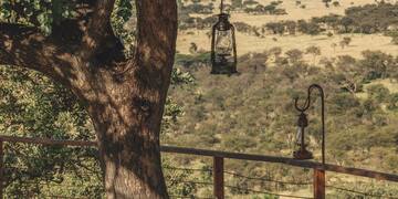 a table and chairs under a tree
