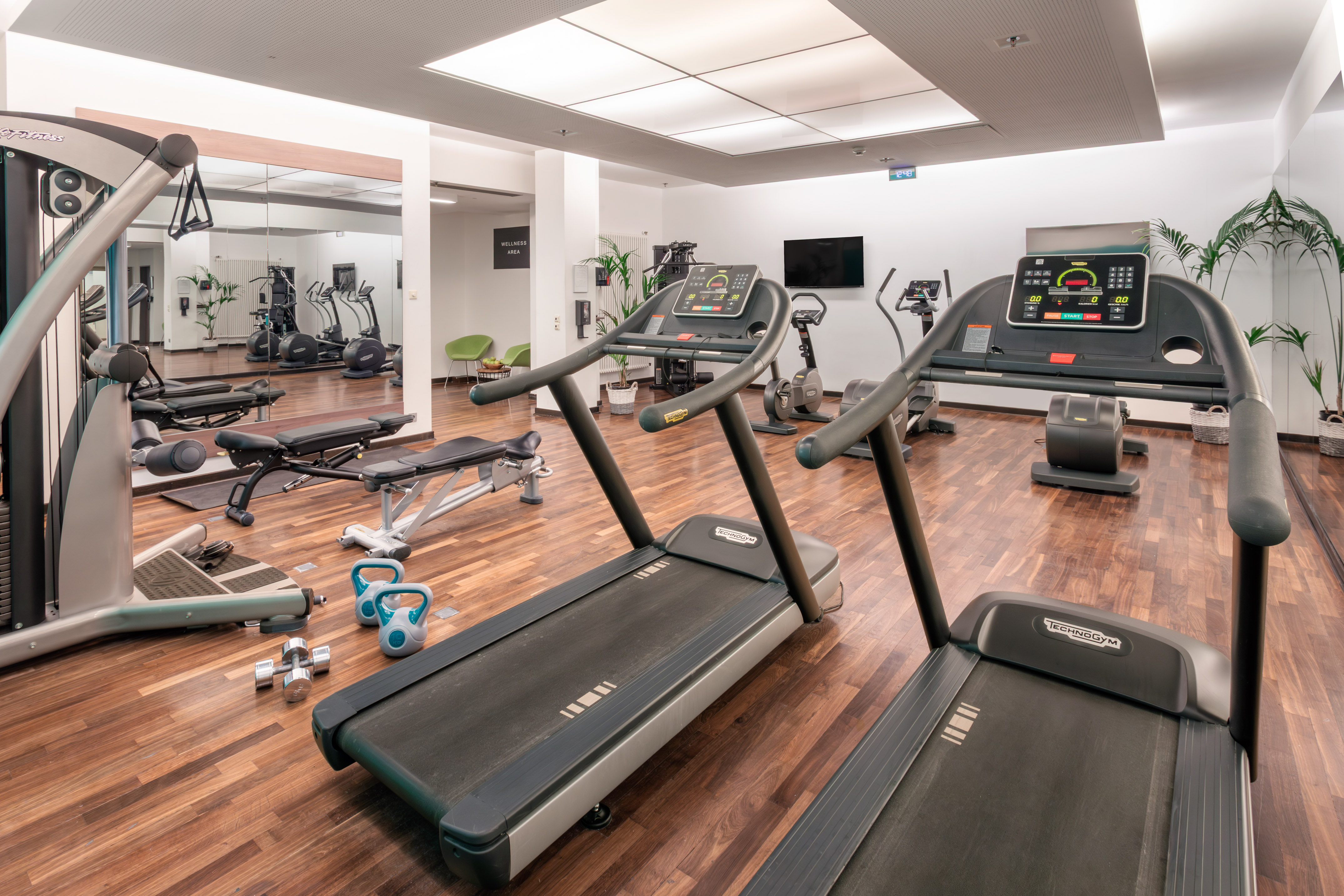 Well-equipped modern gym with treadmills, weights, benches, and wood floor.