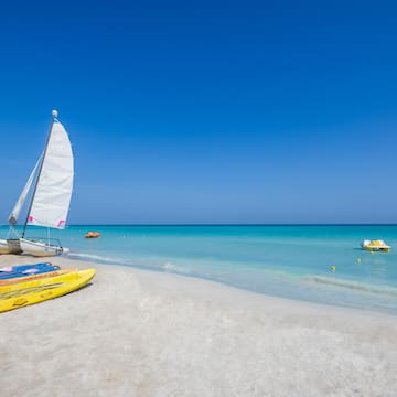 a sailboat and kayaks on a beach