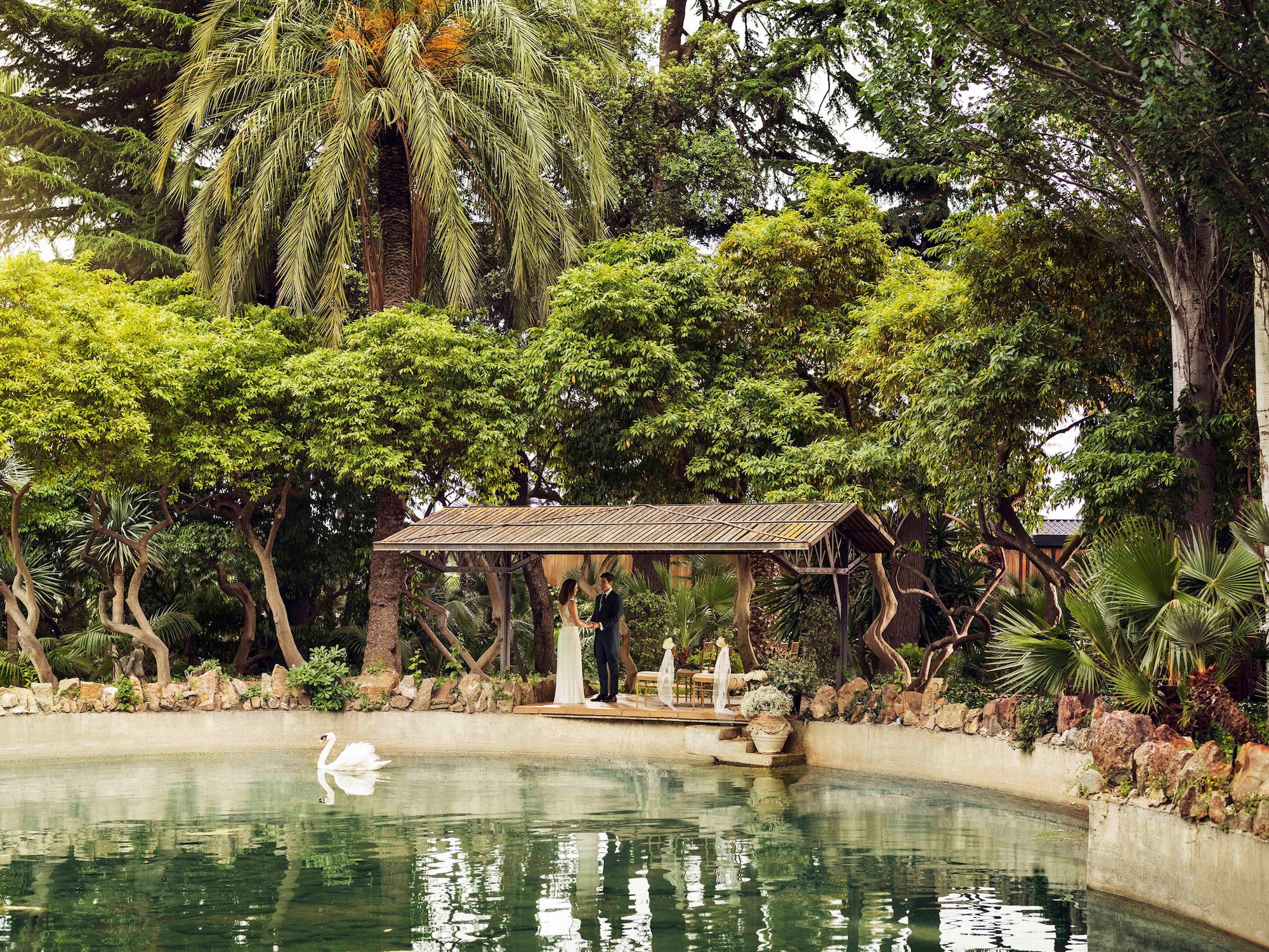 a couple standing under a canopy next to a pond with trees and a swan