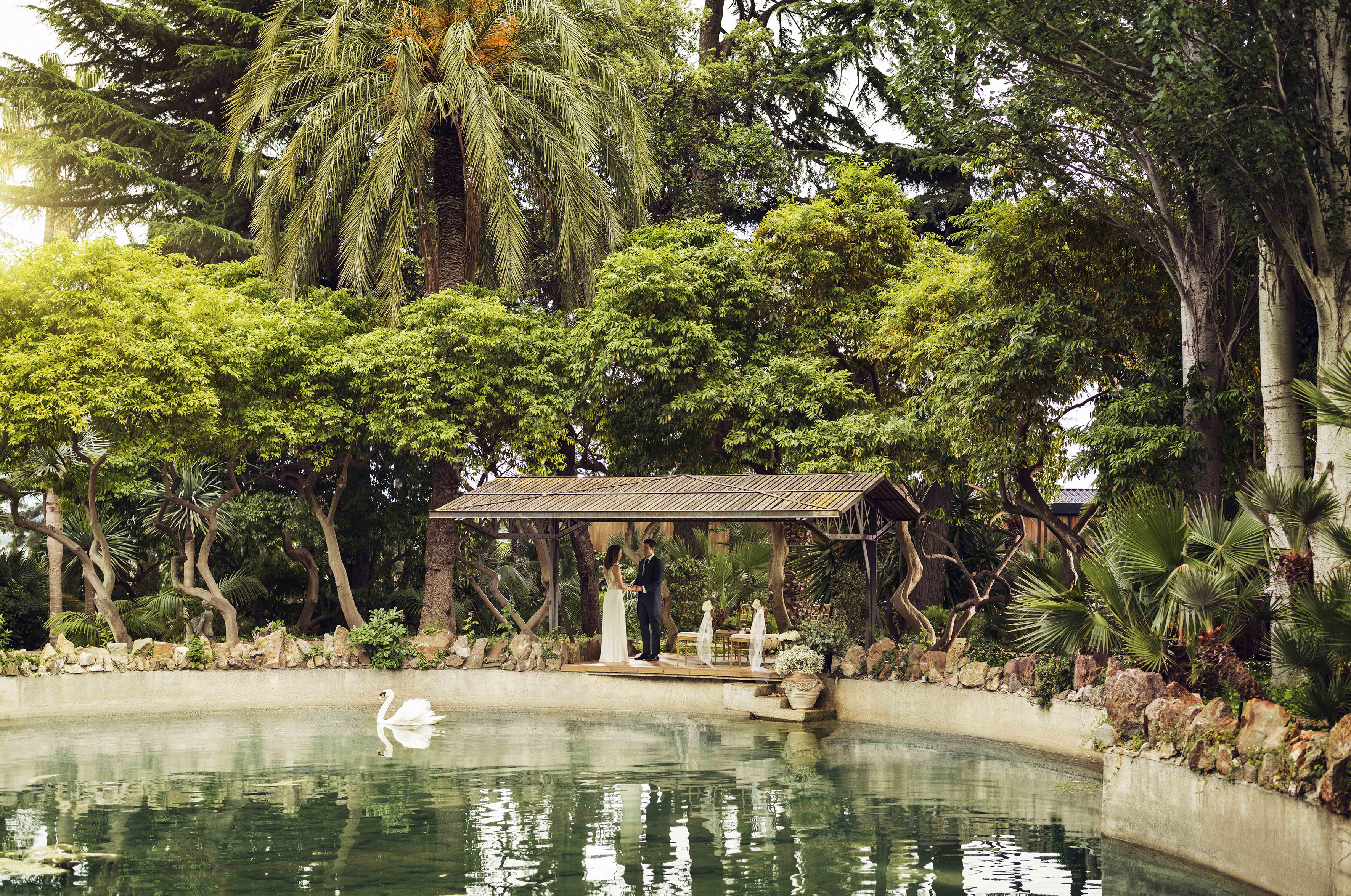 a couple standing under a canopy next to a pond with trees and a swan