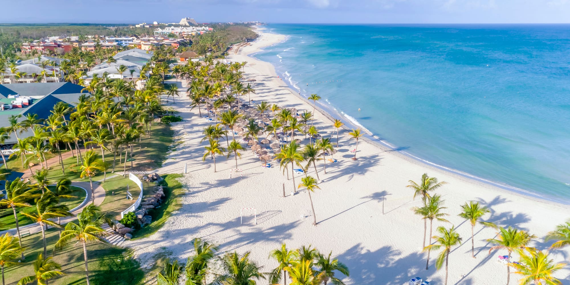 a beach with palm trees and blue water