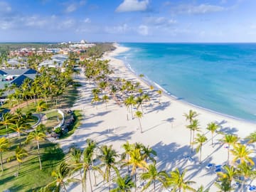 a beach with palm trees and blue water