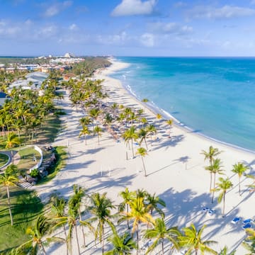 a beach with palm trees and blue water