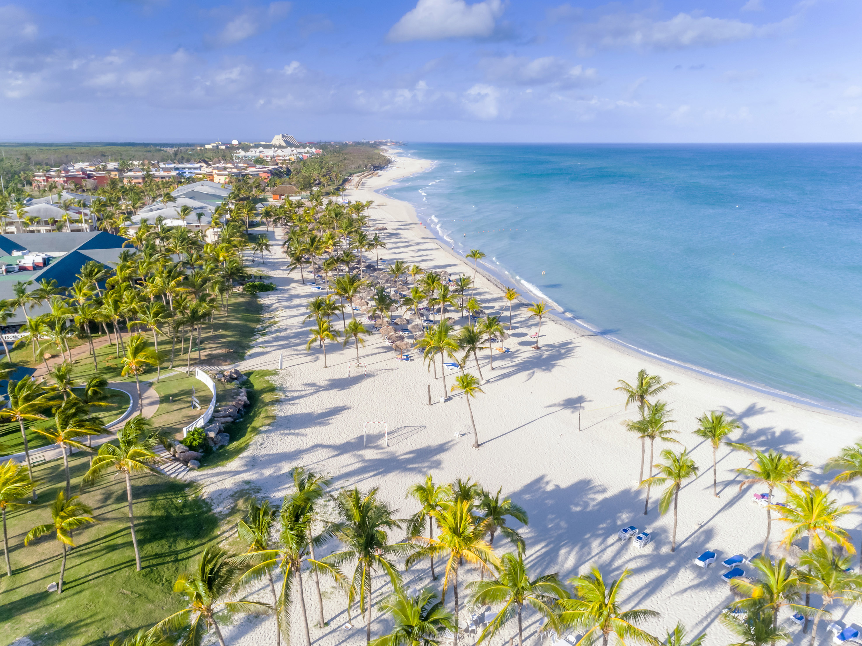 a beach with palm trees and blue water