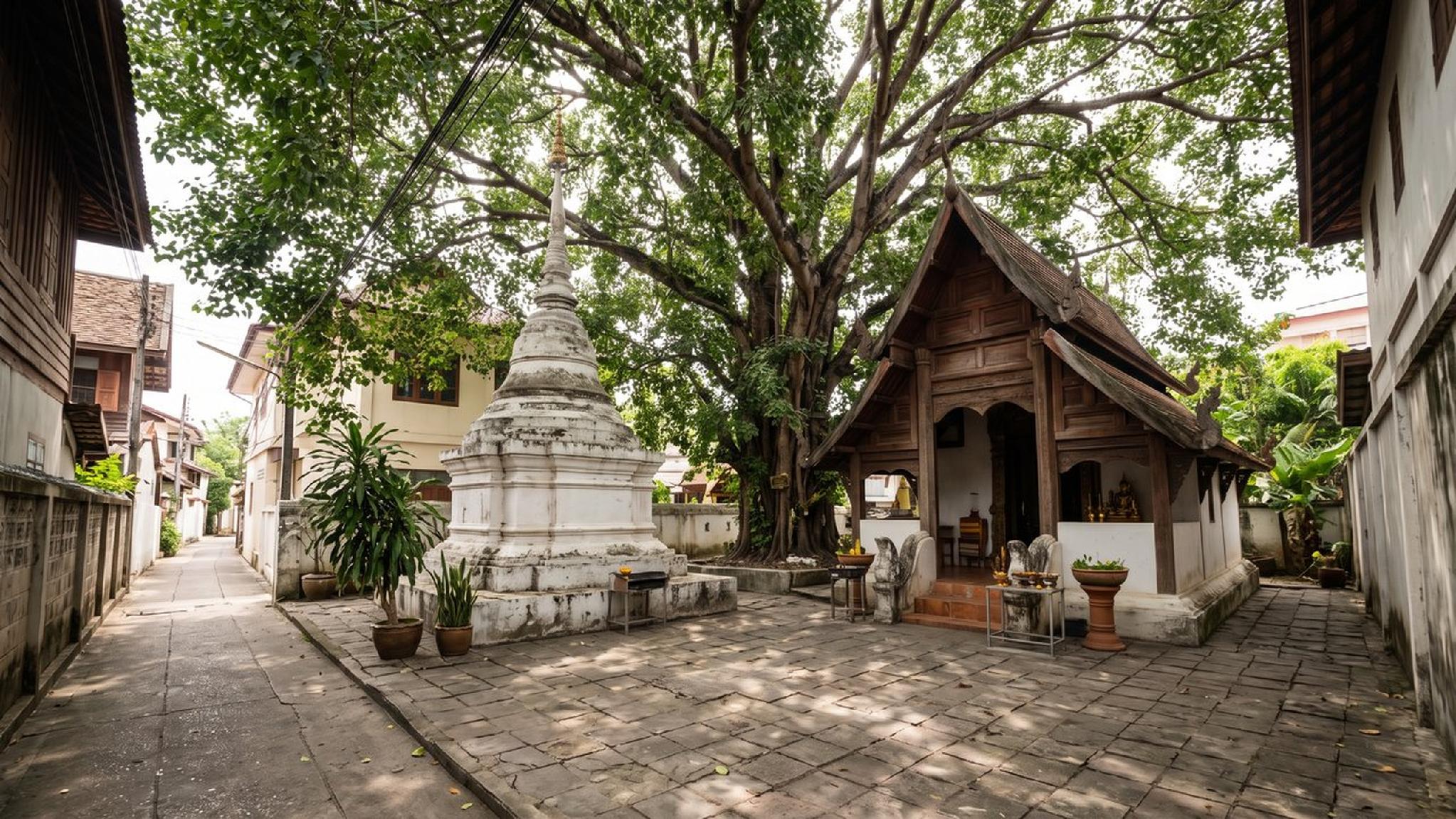 Ancient Thai temple courtyard: white chedi, wooden shrine, and large Bodhi tree.