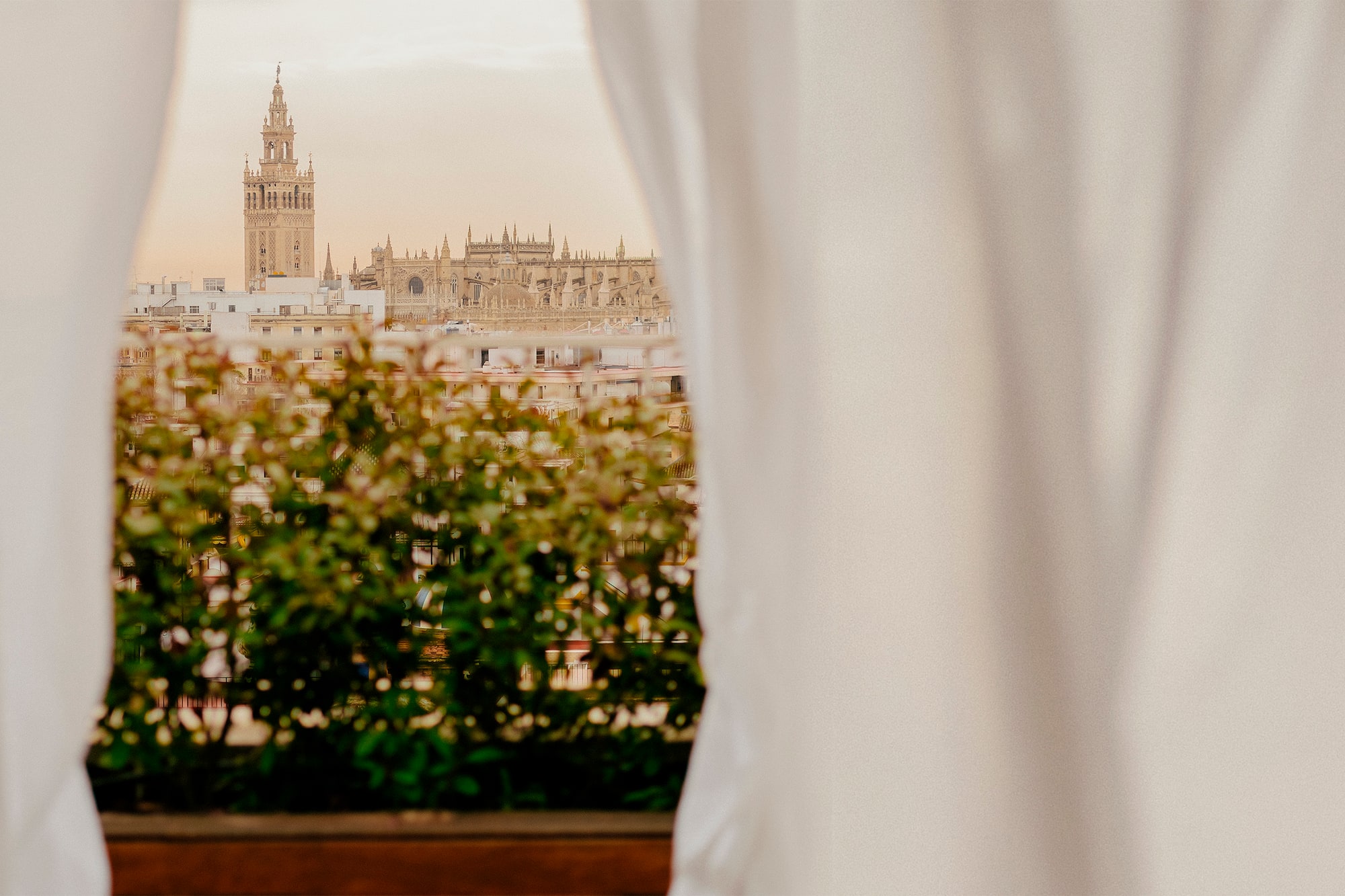 a window with a city skyline in the background