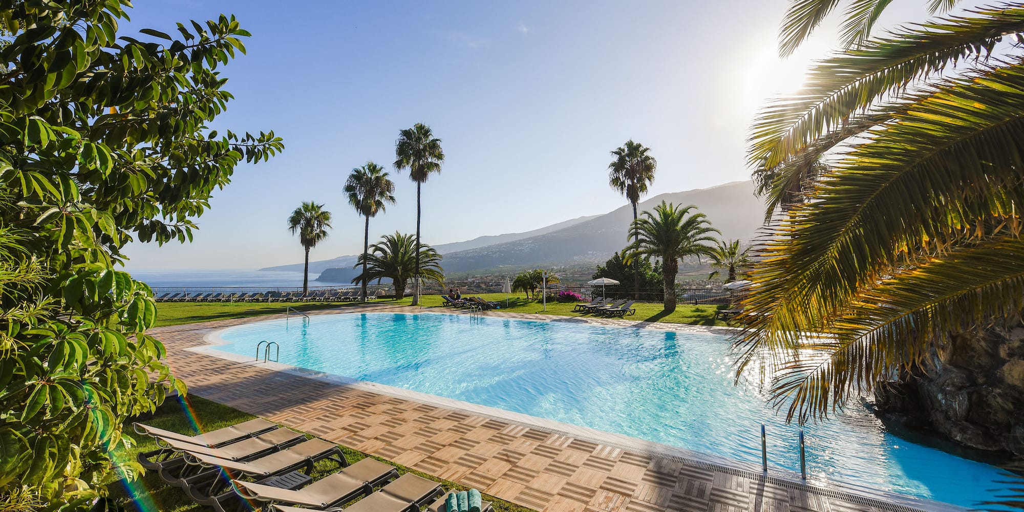 a pool with chairs and palm trees