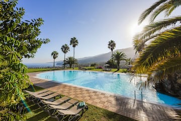 a pool with chairs and palm trees