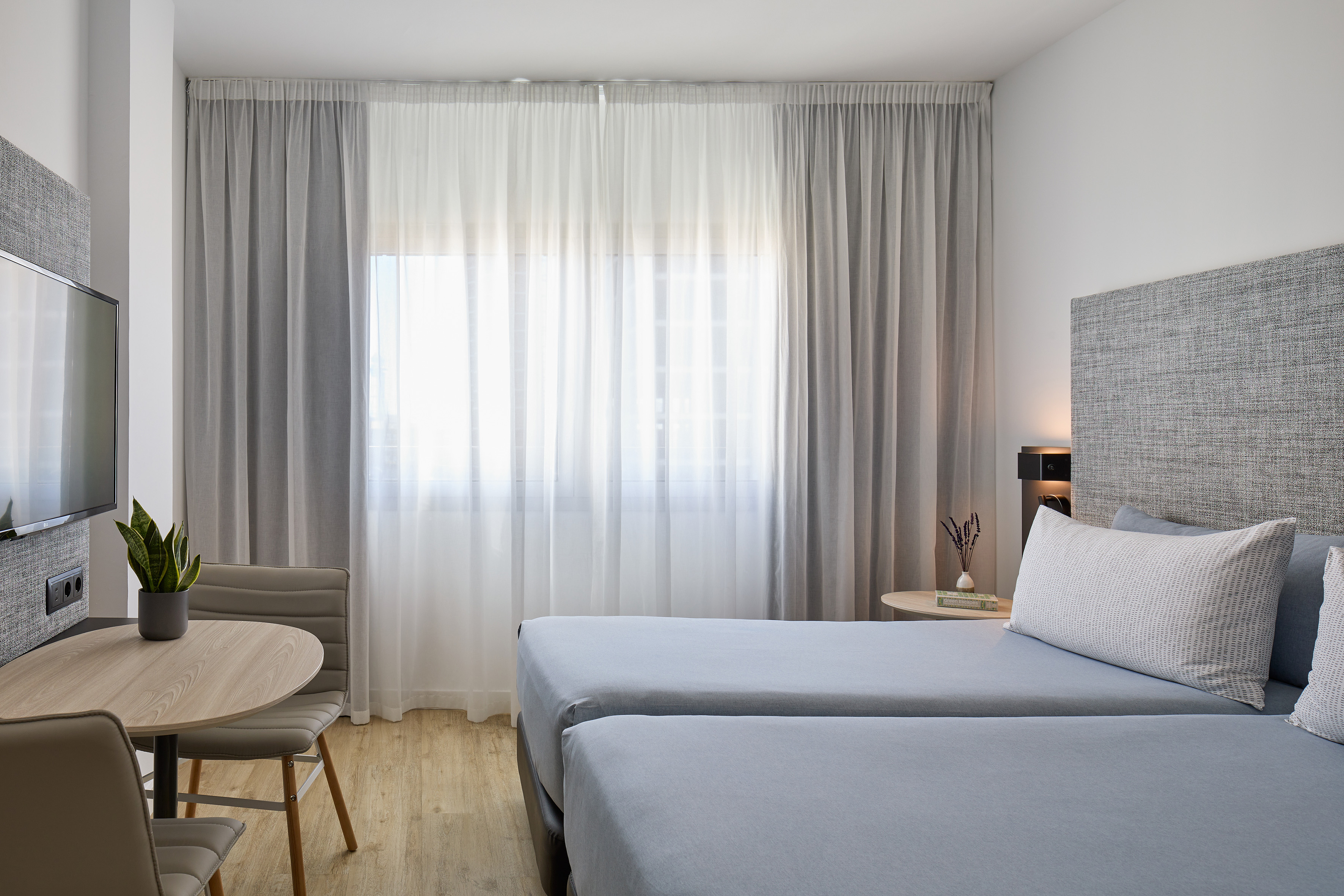 Hotel bedroom with twin beds, TV, and bright window with sheer curtains.