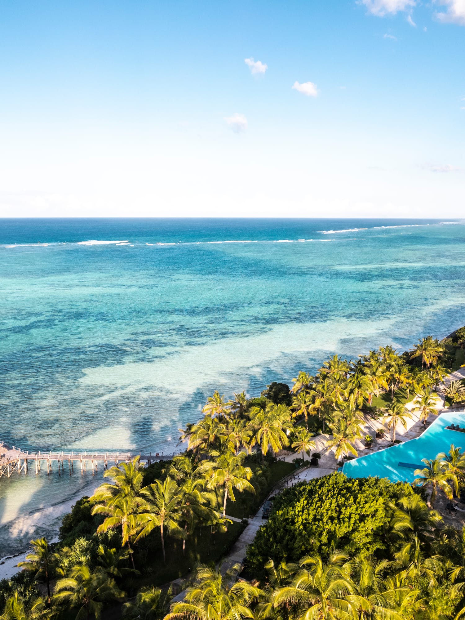 a pool and palm trees next to a body of water