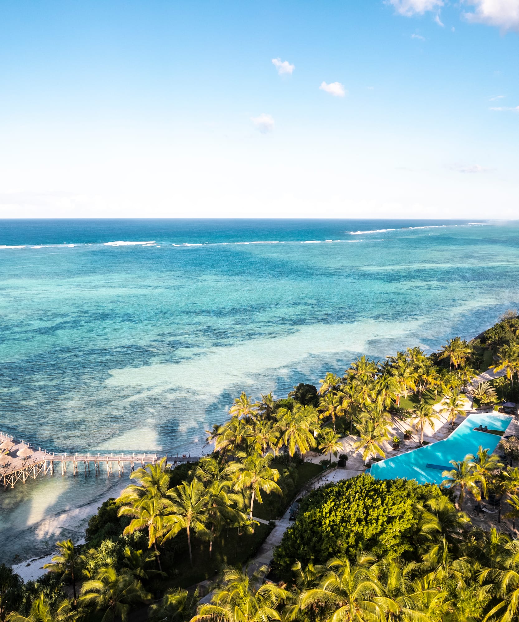 a pool and palm trees next to a body of water
