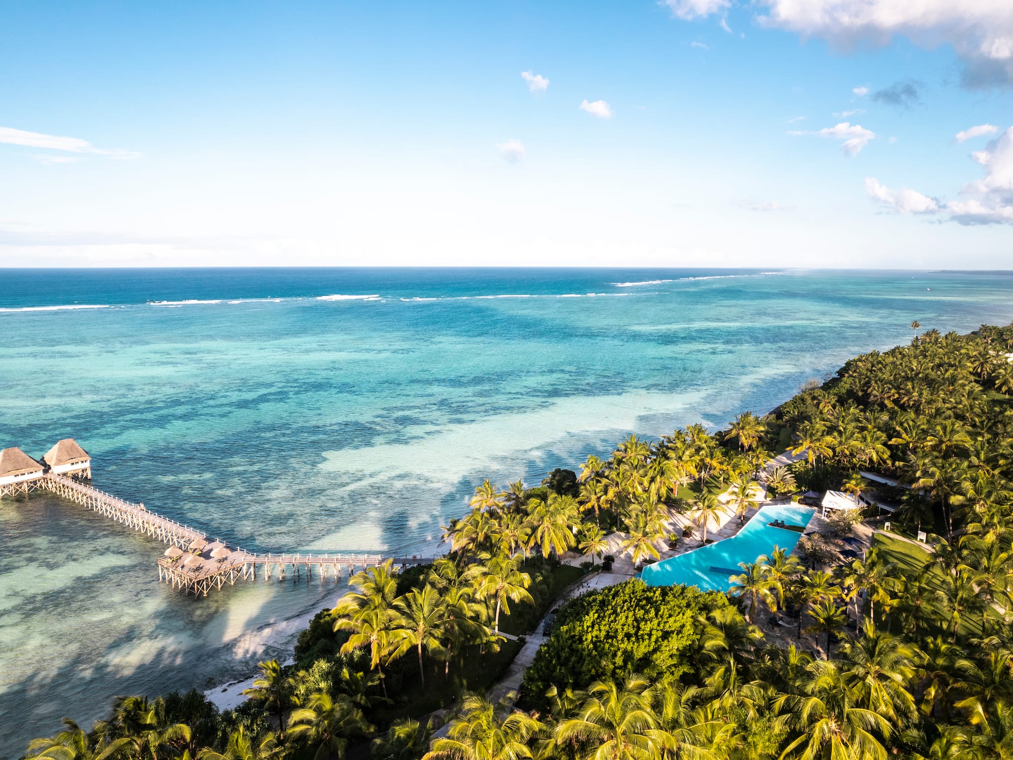 a pool and palm trees next to a body of water