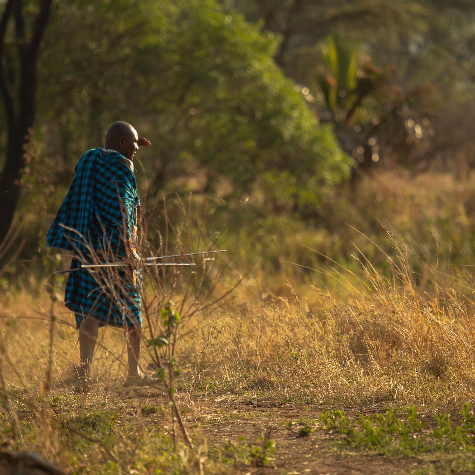 a man in a blue and black robe walking through a field
