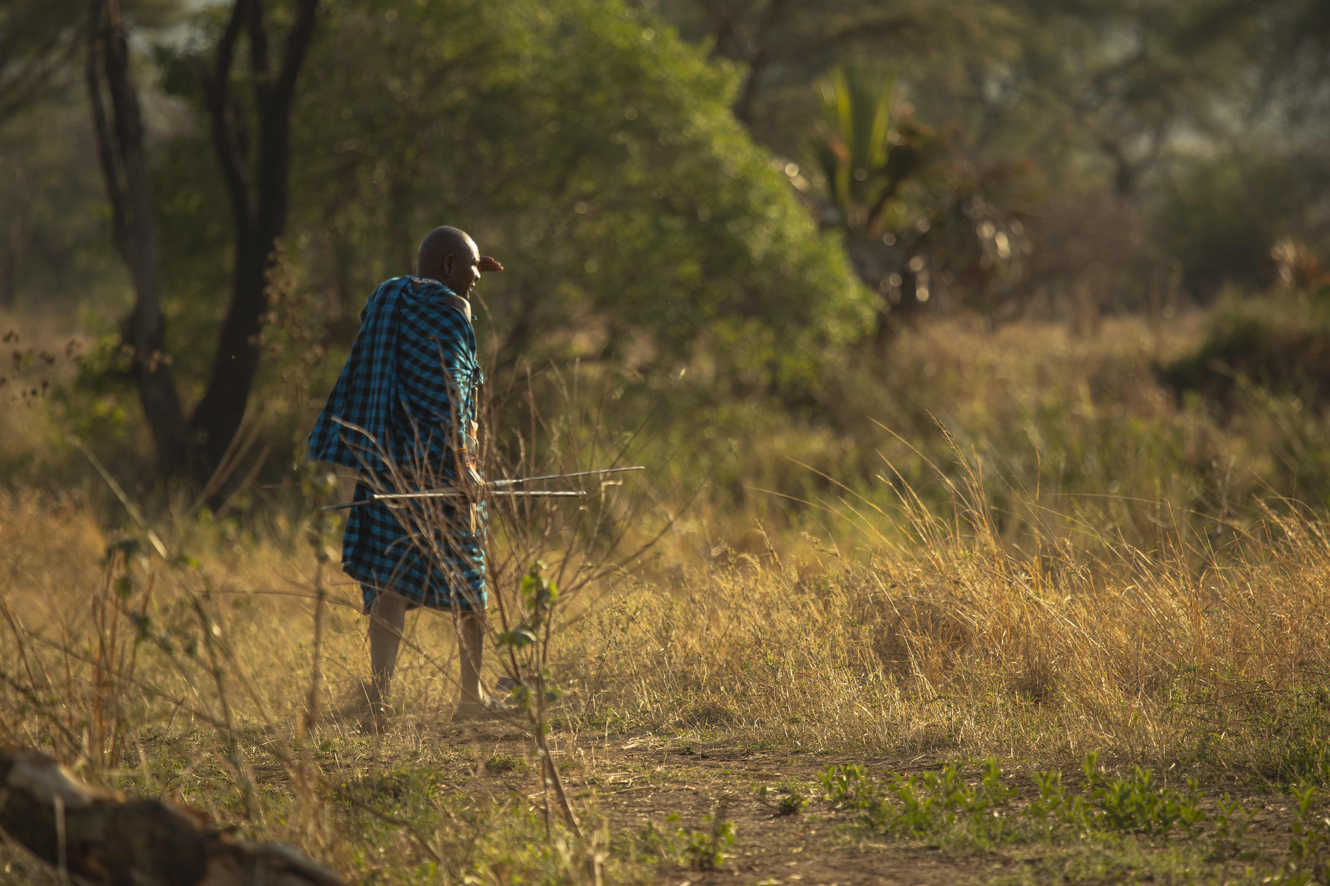 a man in a blue and black robe walking through a field