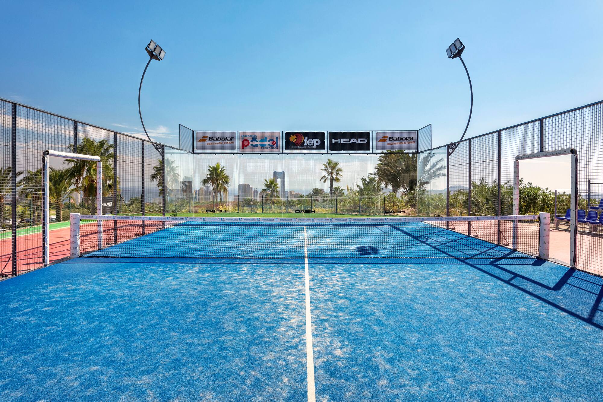 Outdoor padel court with blue surface, net, glass walls, and palm trees.