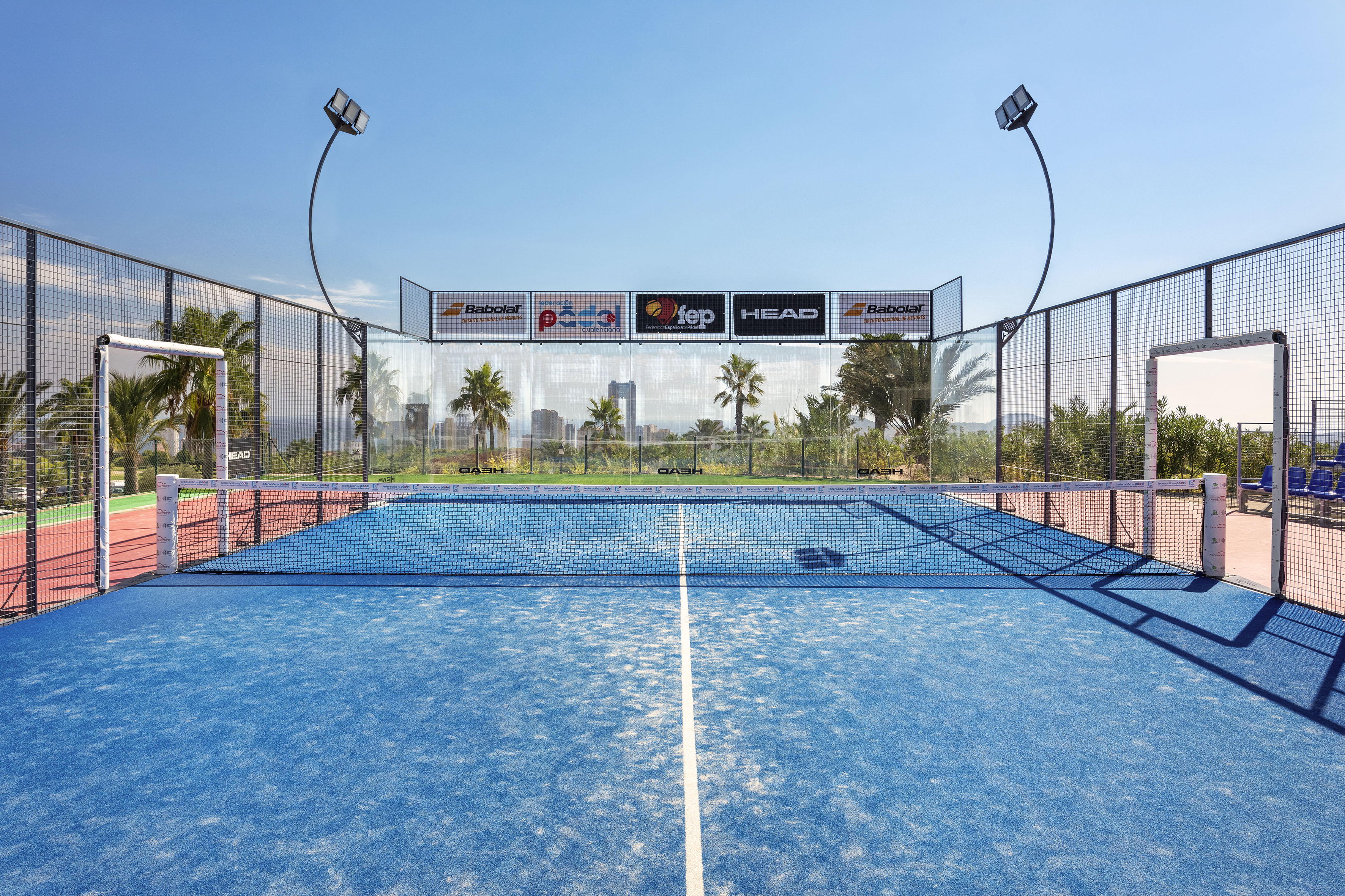 Outdoor padel court with blue surface, net, glass walls, and palm trees.