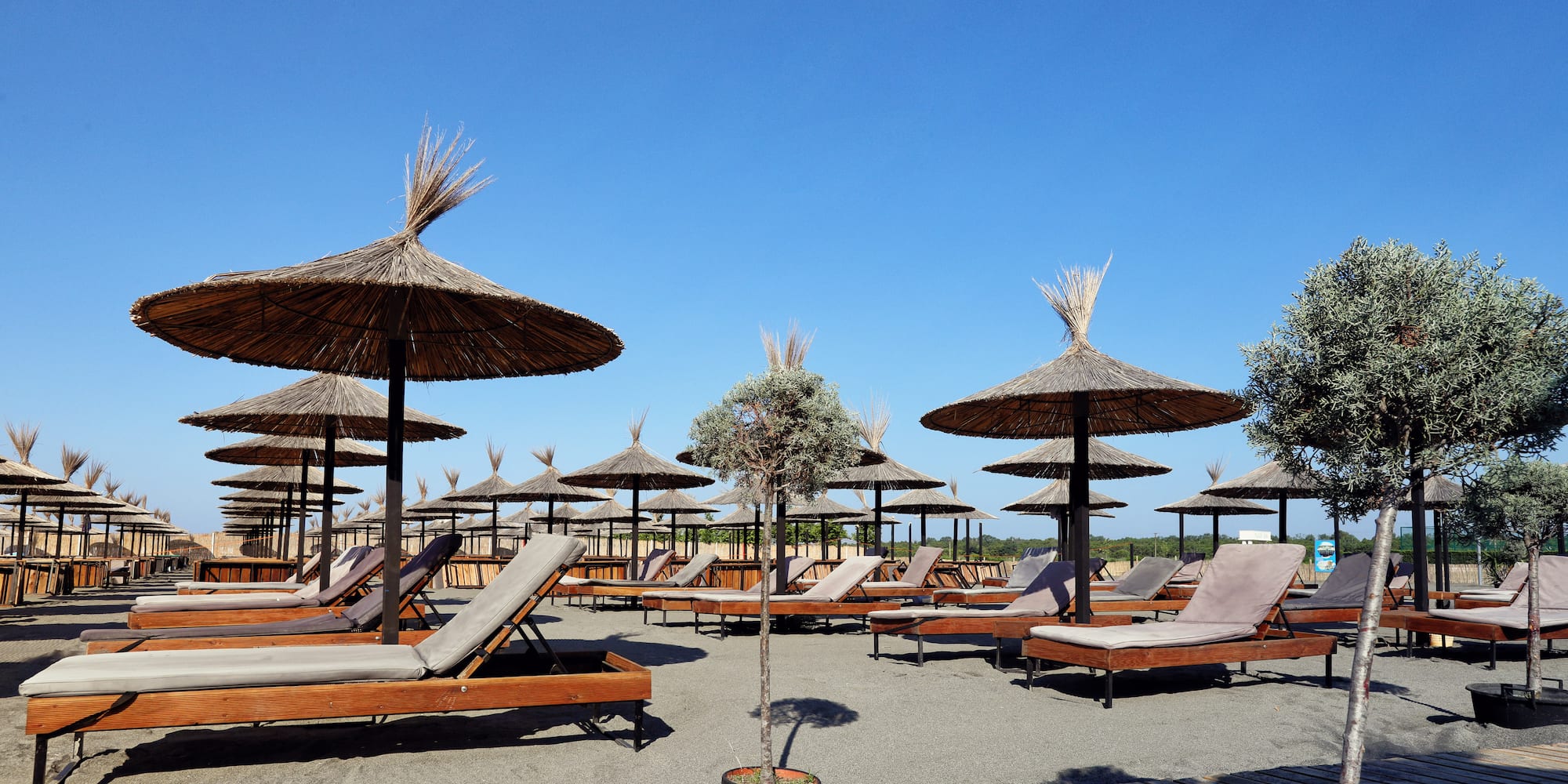 a group of lounge chairs and umbrellas on a beach