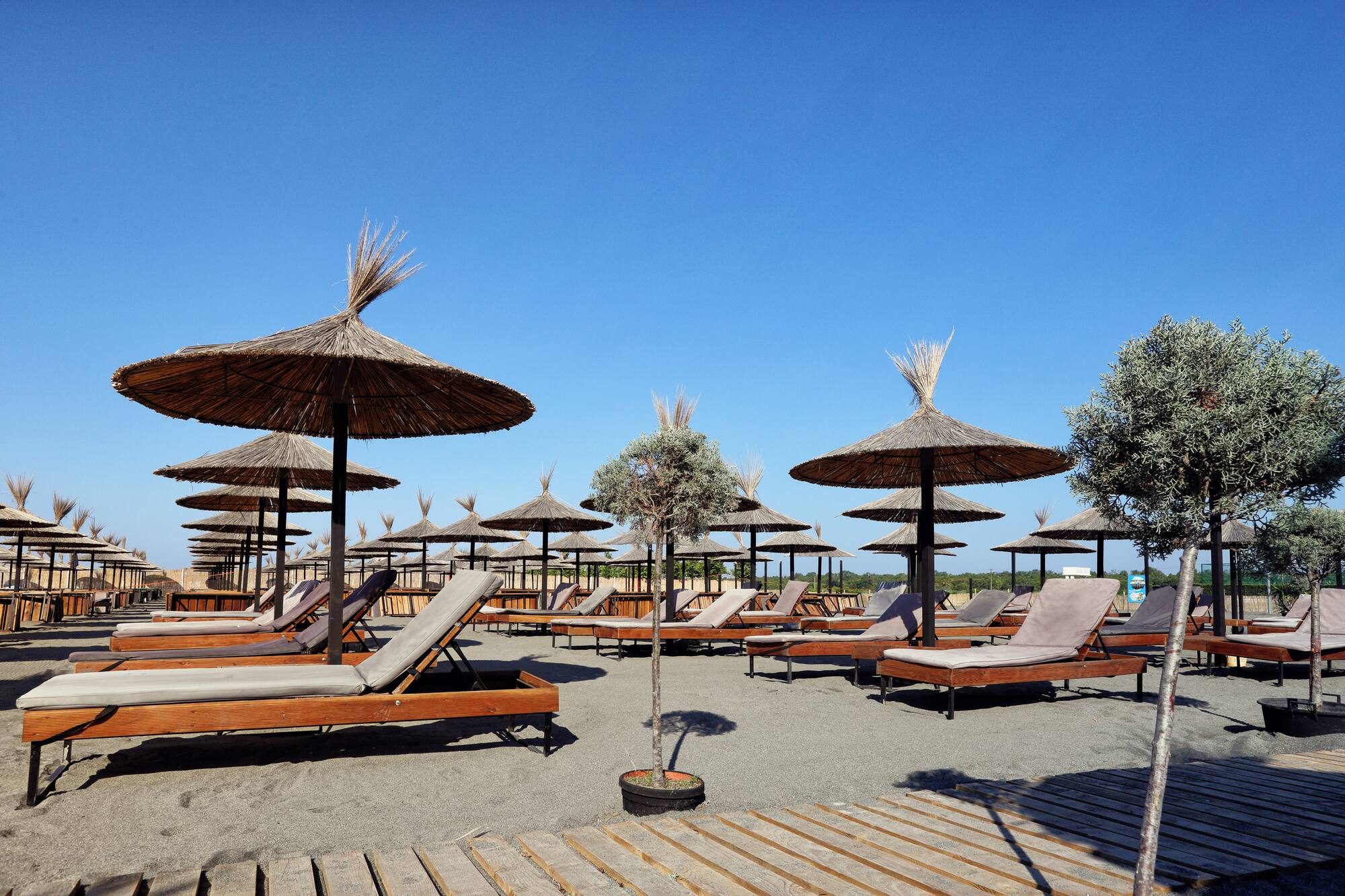 a group of lounge chairs and umbrellas on a beach