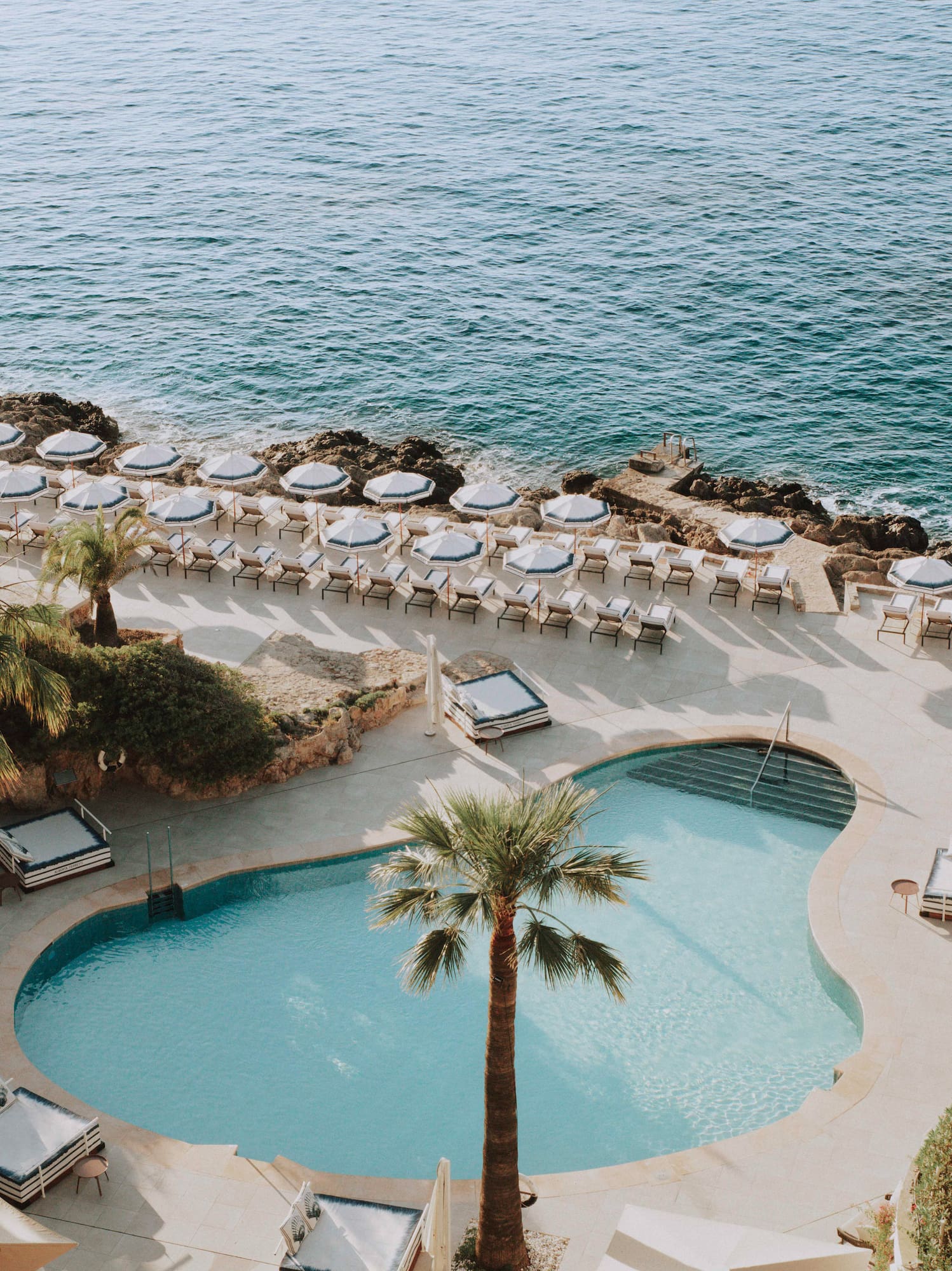 a pool and palm trees by the water