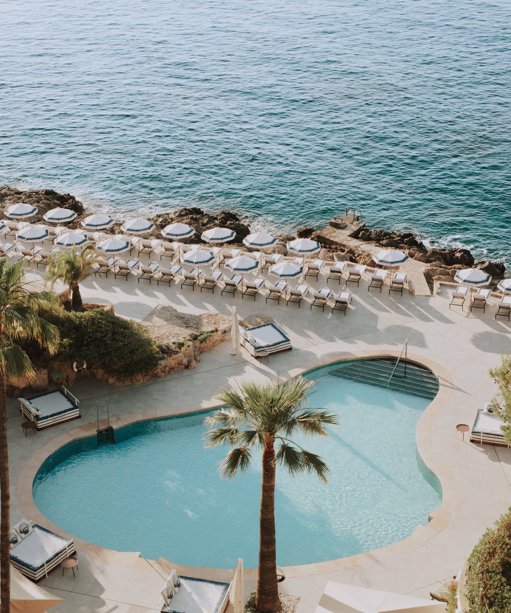 a pool and palm trees by the water