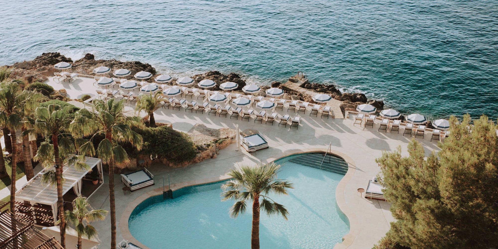a pool and palm trees by the water