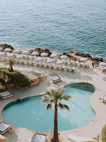 a pool and palm trees by the water