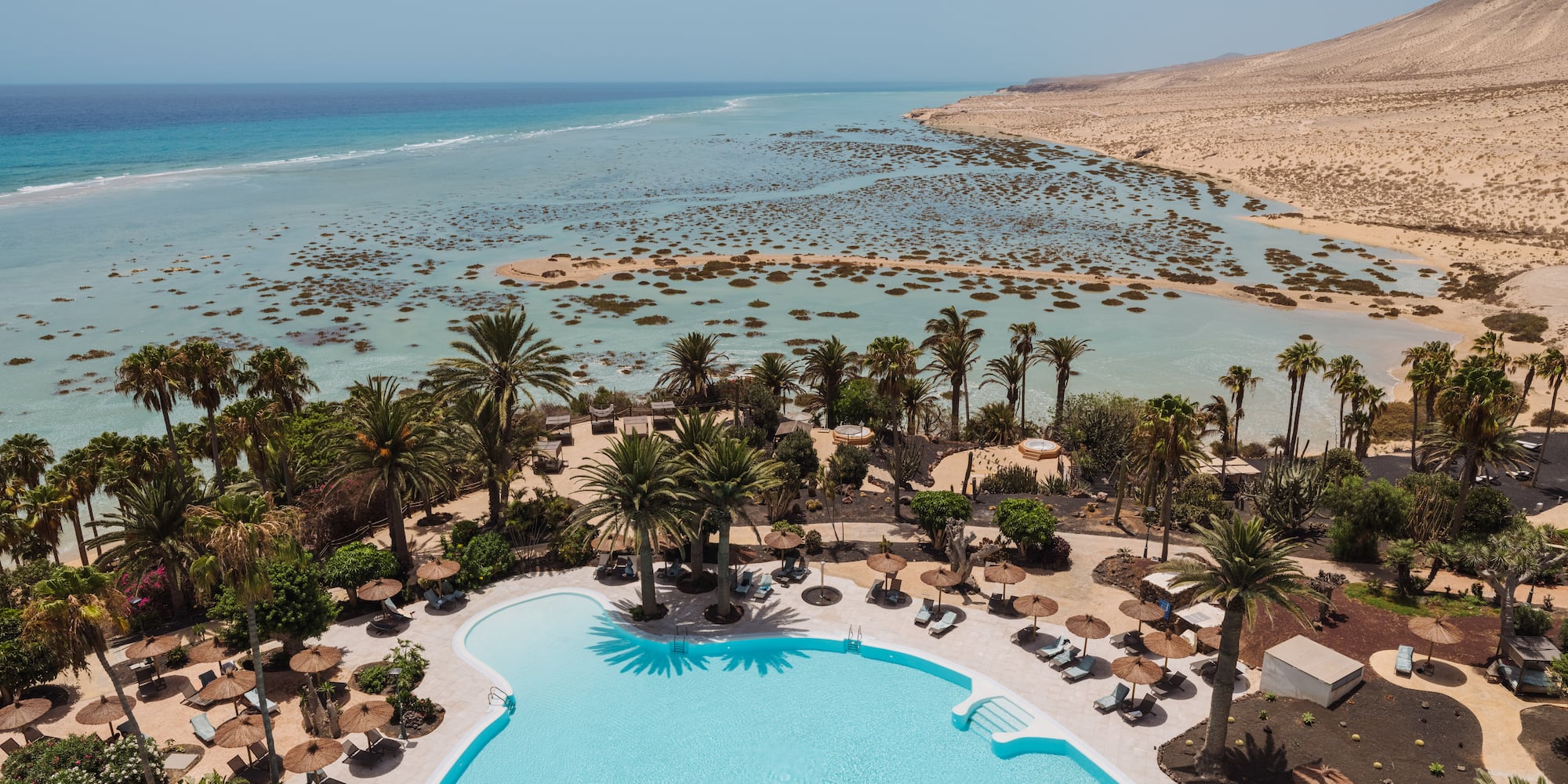 a pool with palm trees and a beach