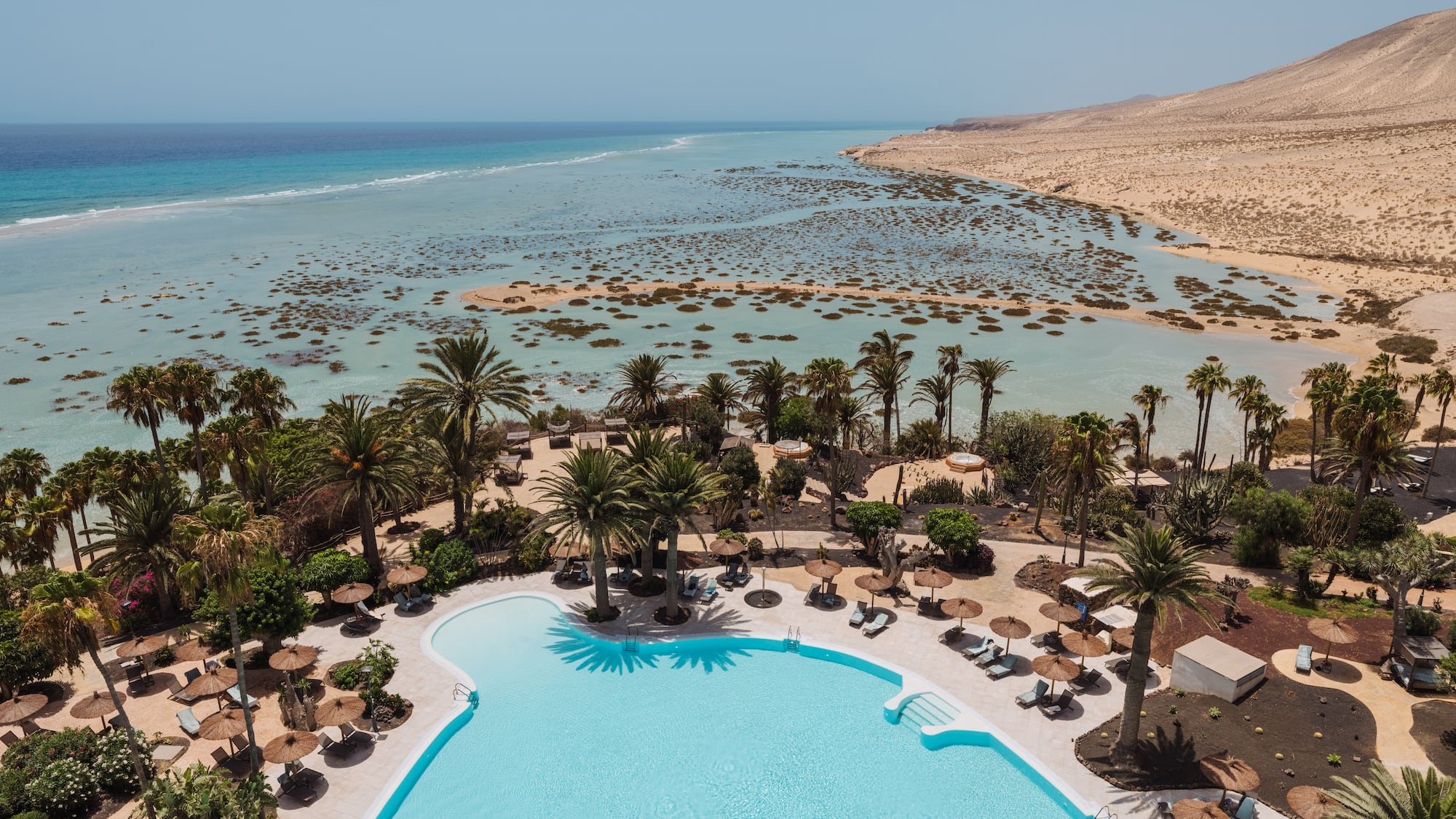 a pool with palm trees and a beach