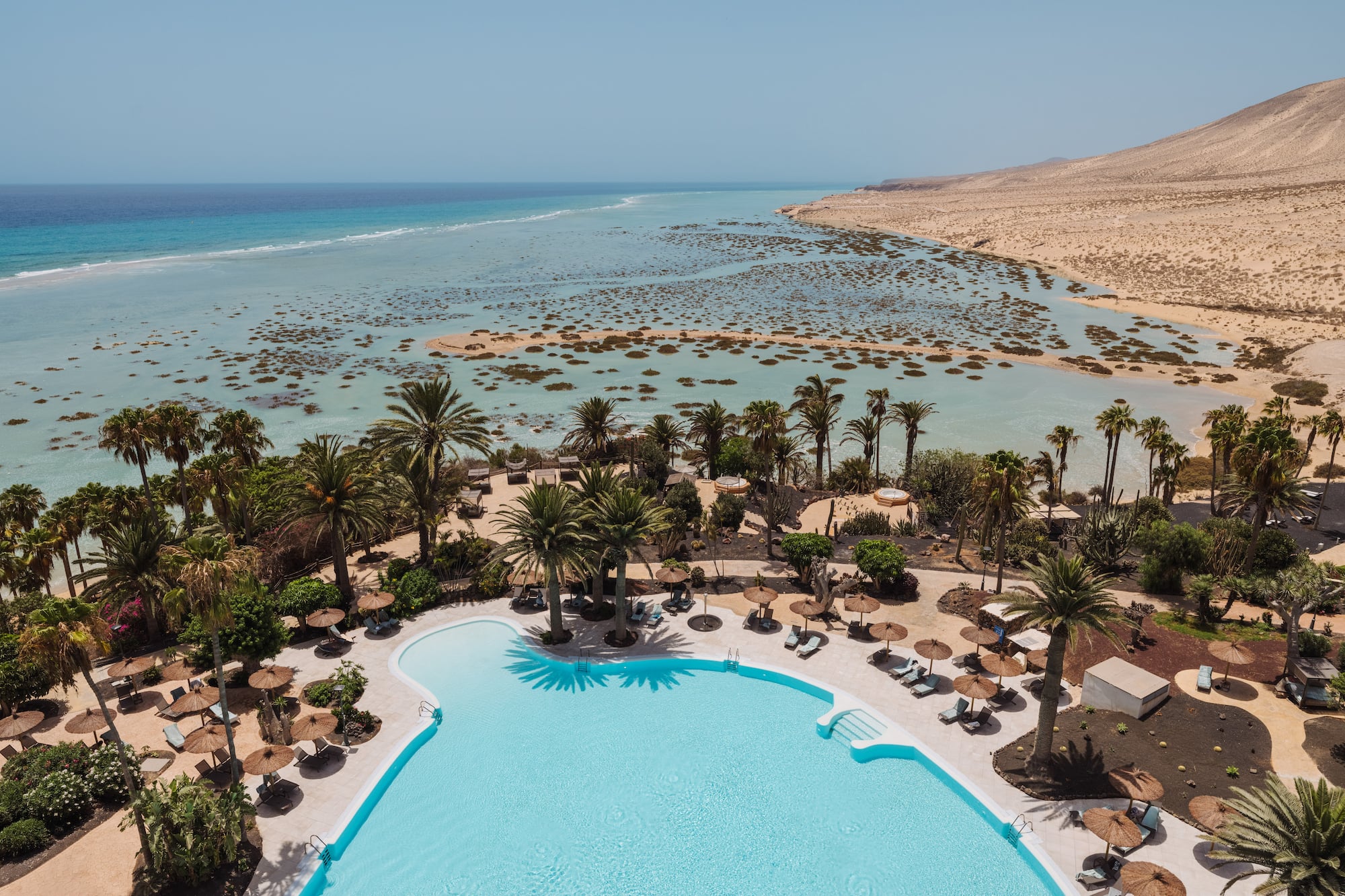 a pool with palm trees and a beach