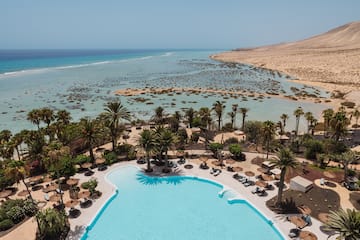 a pool with palm trees and a beach