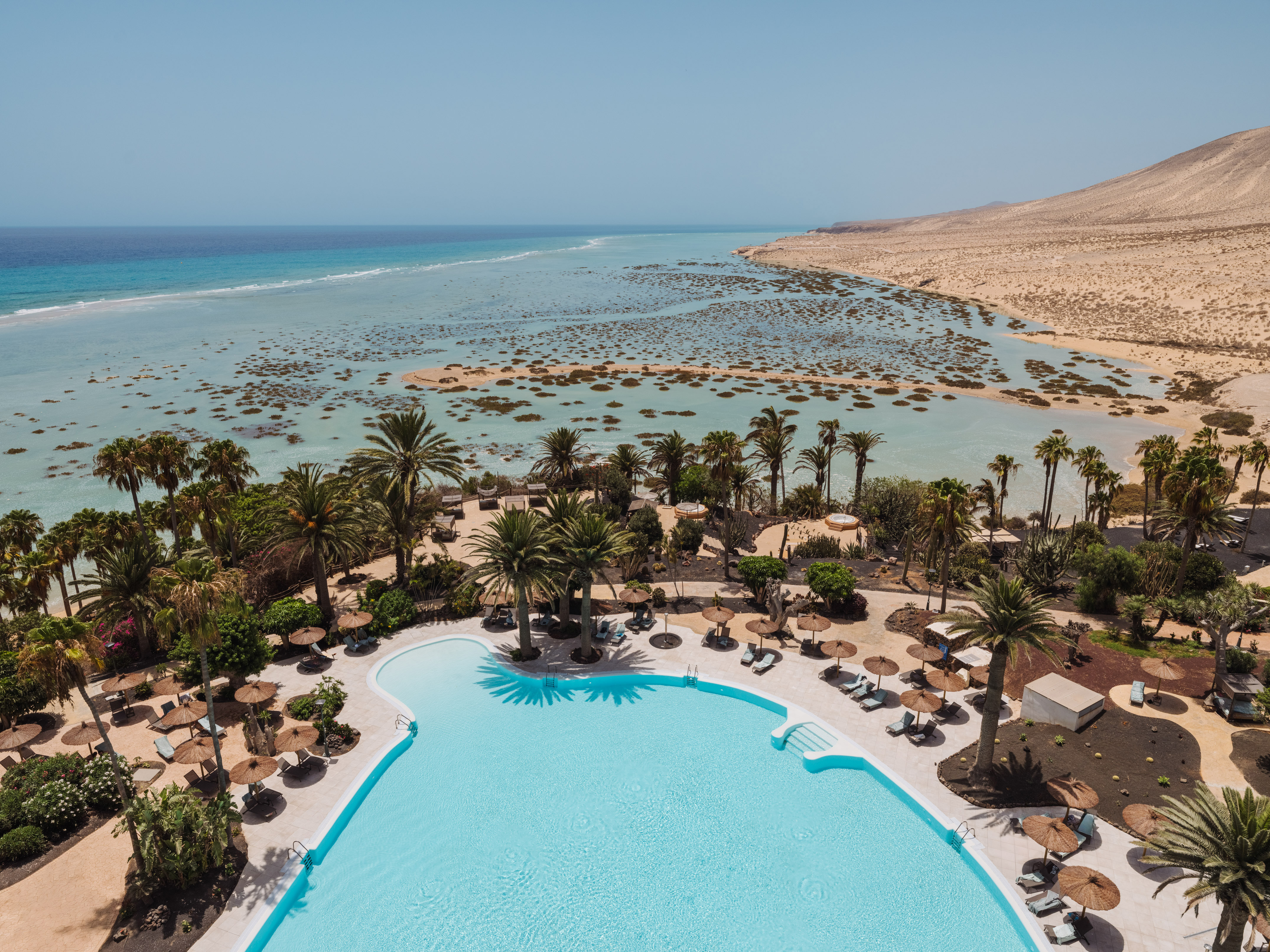 Fuerteventura resort pool with palm trees, turquoise ocean, and sandy lagoon.