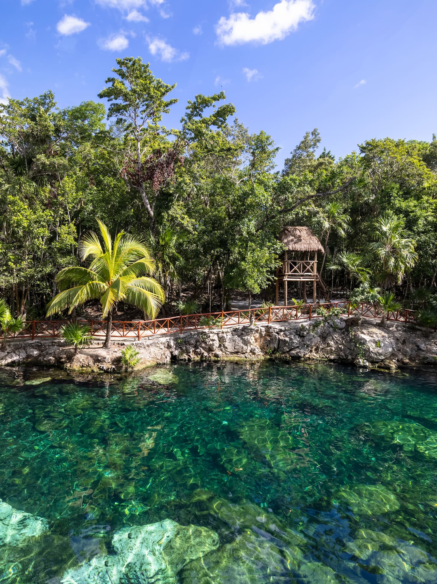 Cenote de agua turquesa en la selva, con palmeras y mirador de madera.