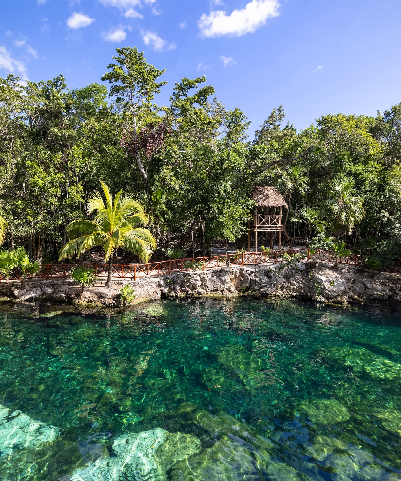 a body of water with trees and a hut