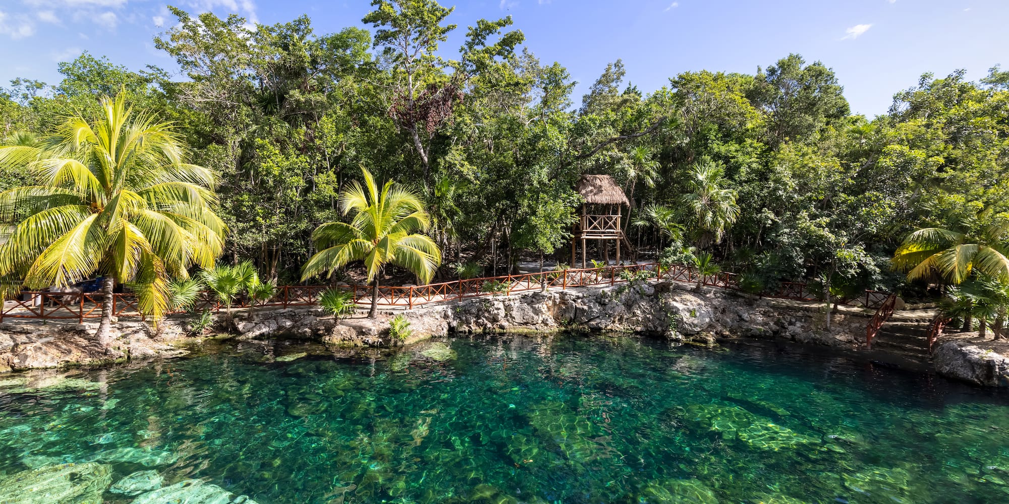 Cenote de agua turquesa, palmeras, jungla y cabaña de madera.