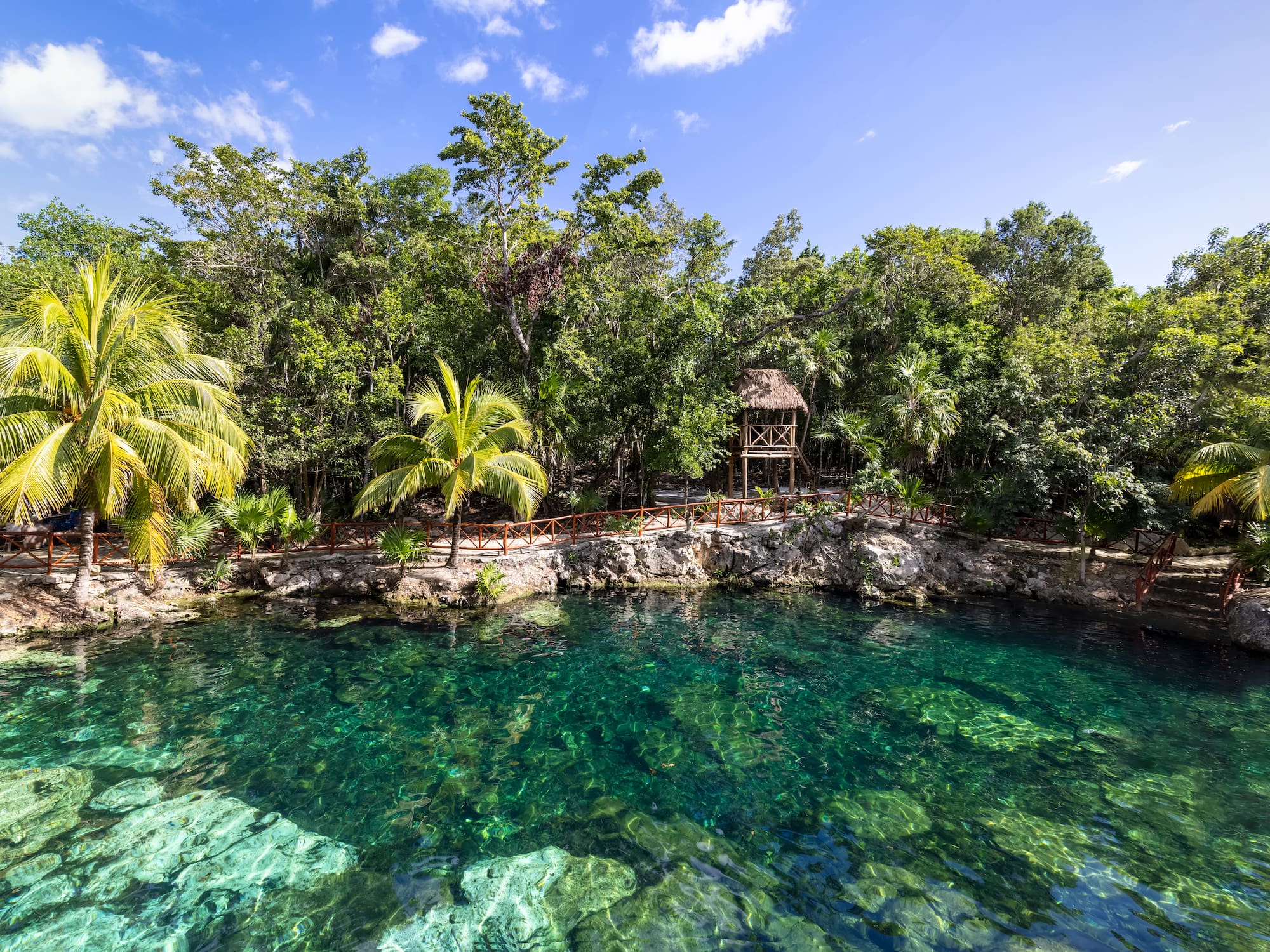 a body of water with trees and a hut