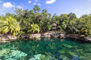 a body of water with trees and a hut
