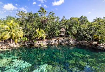 a body of water with trees and a hut