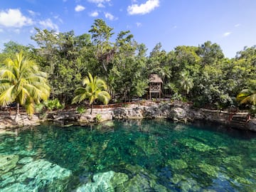 a body of water with trees and a hut