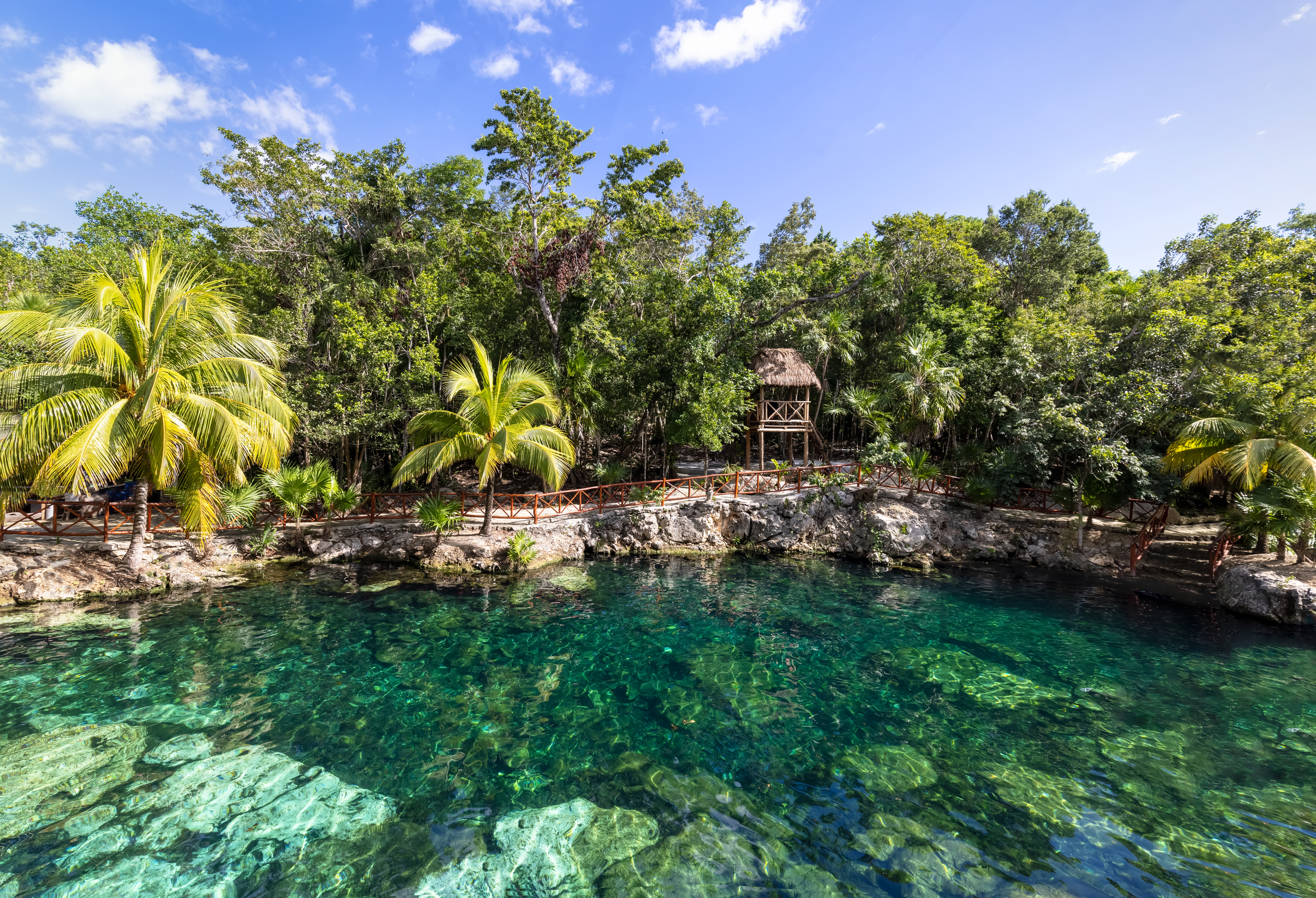 Cenote de agua turquesa en la selva, con palmeras y mirador de madera.
