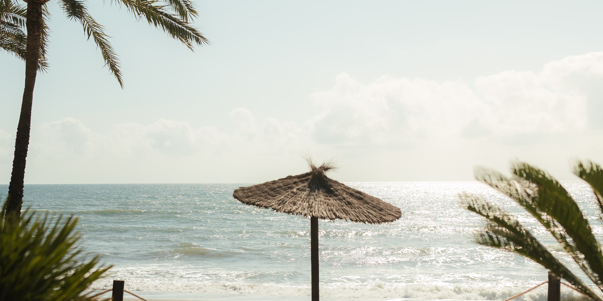 Playa soleada con palmera, sombrilla de paja y mar.
