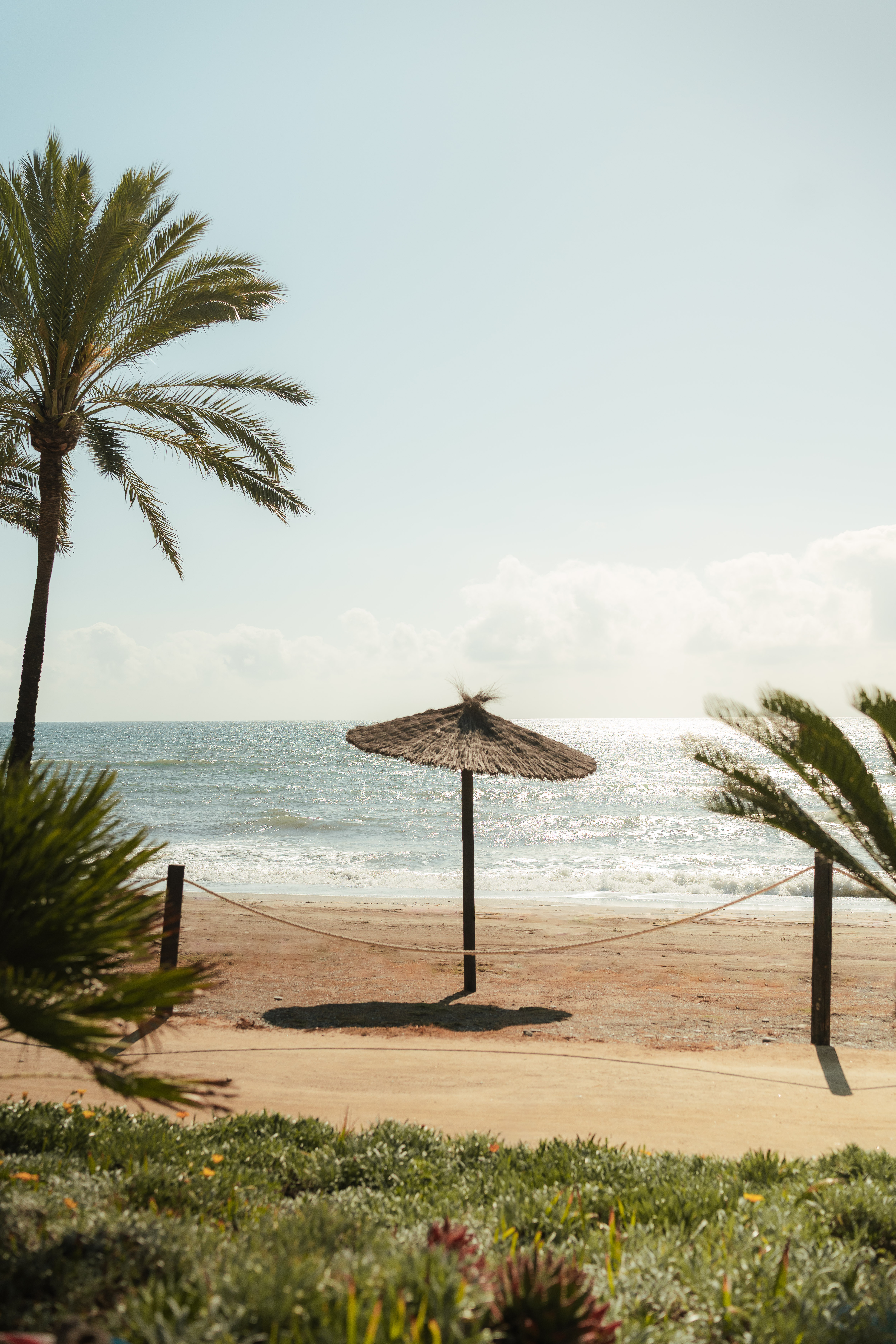 Playa soleada con palmera, sombrilla de paja y mar.