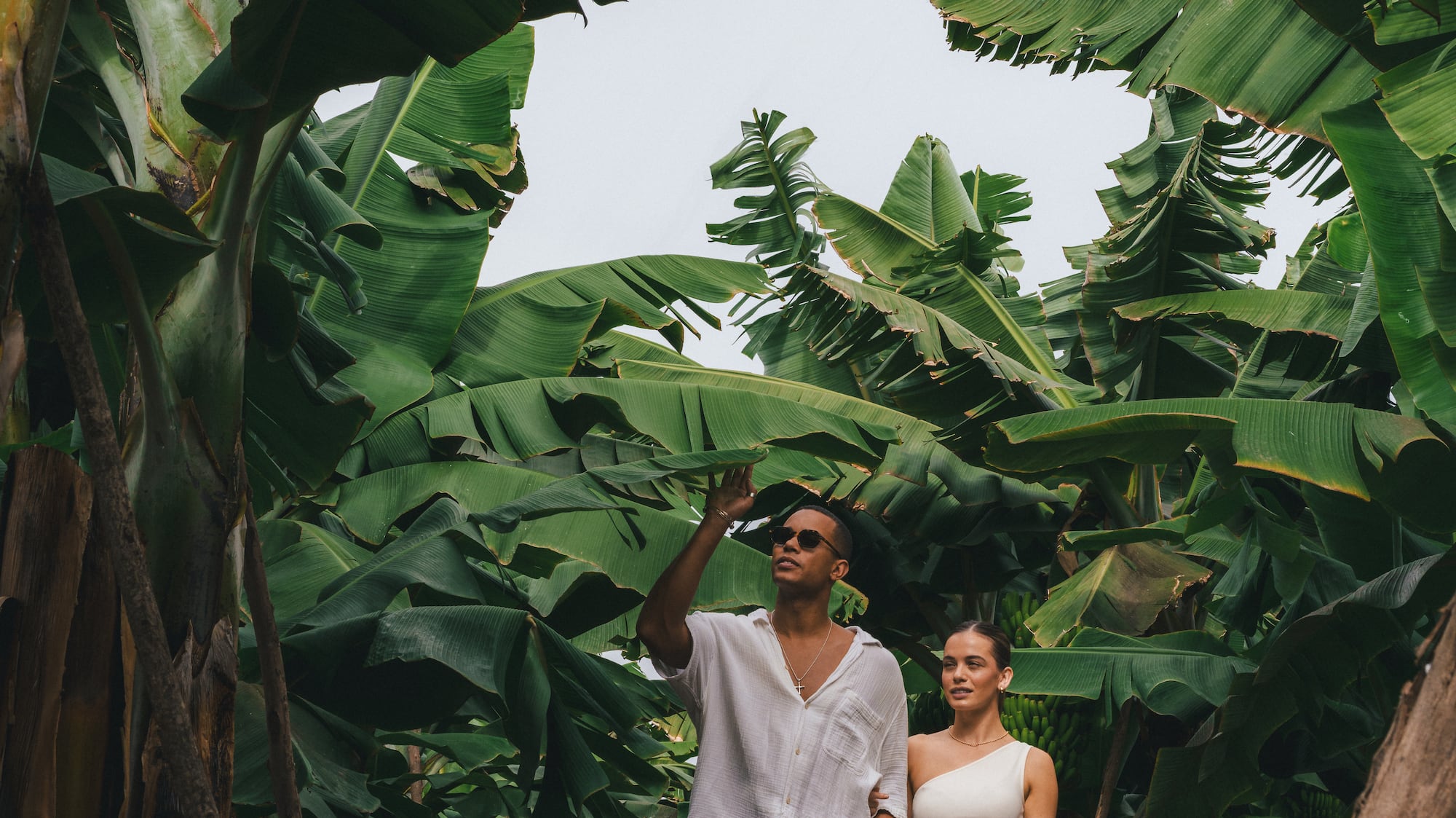 a man and woman walking through a tropical forest