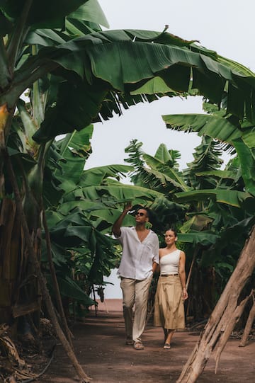 a man and woman walking through a tropical forest