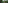 Couple walking through a lush banana plantation, giant green leaves.
